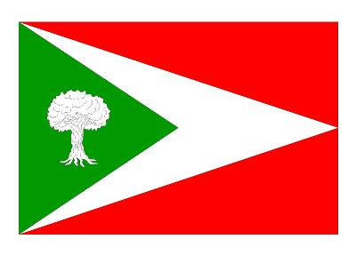 Bandera de Imagen de Tosantos